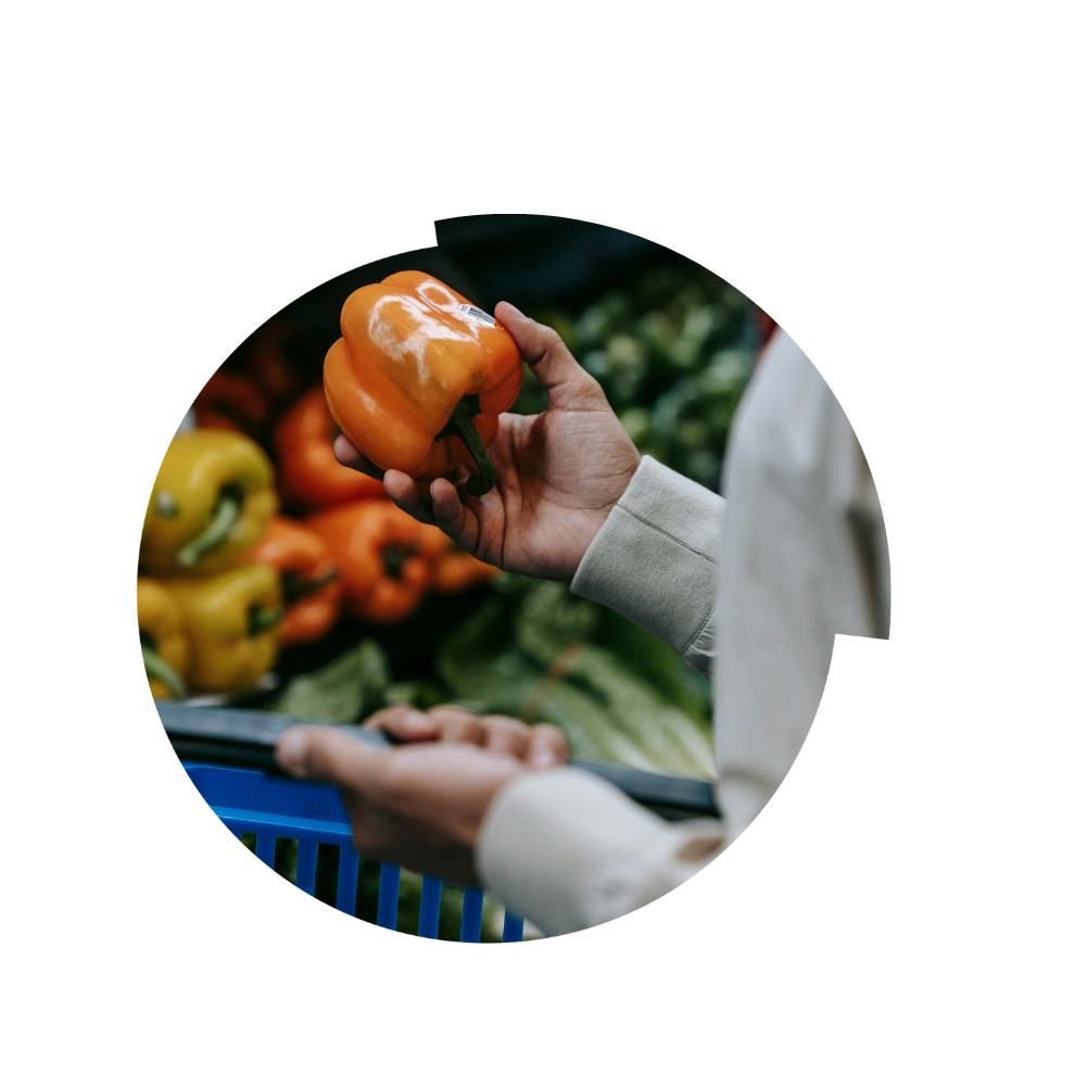 Studie Obst & Gemüse 2024